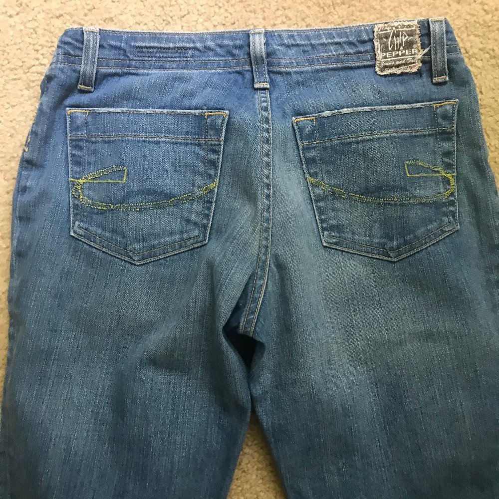 Chip and Pepper Flared Jeans